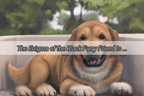 The Enigma of the Black Furry Friend Is a Black Dog Really Easy to Care For